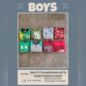 Bundle of toddler boy sweatshirts/hoodies (3T/4T)